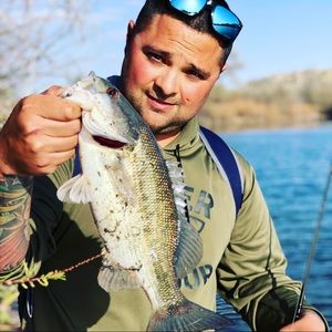 Meet your Posher, Bernie